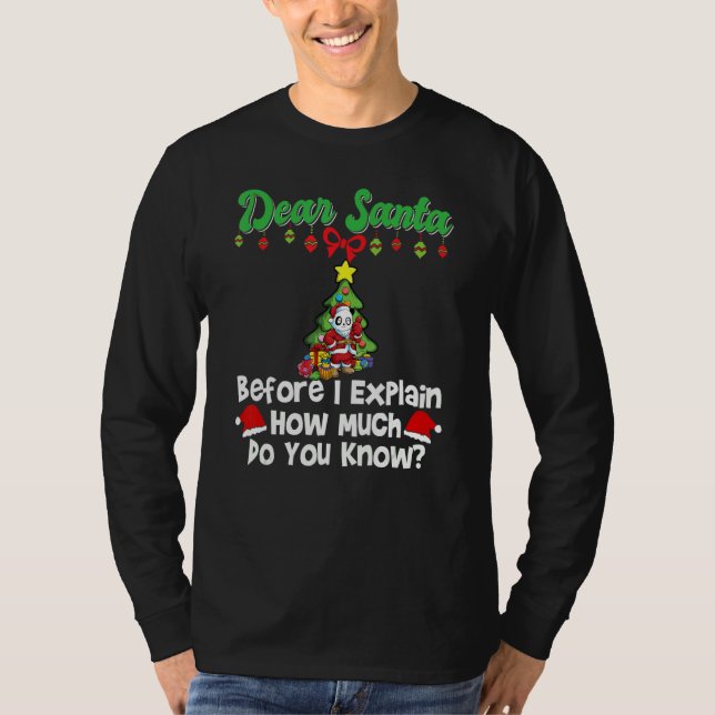 Dear Santa Before I Explain How Much Do You Know_1 T Shirt (Framsida)