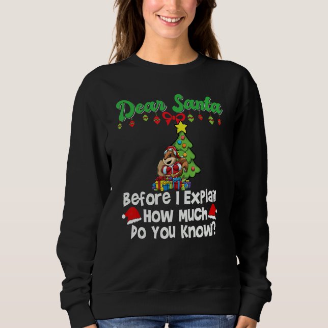 Dear Santa Before I Explain How Much Do You Know_1 T Shirt (Framsida)