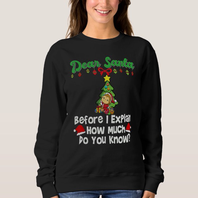 Dear Santa Before I Explain How Much Do You Know_7 T Shirt (Framsida)