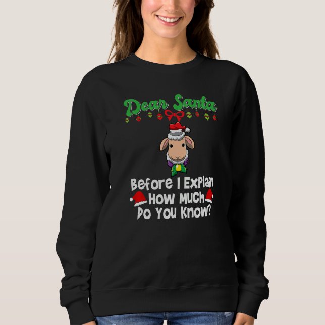 Dear Santa Before I Explain How Much Do You Know P T Shirt (Framsida)
