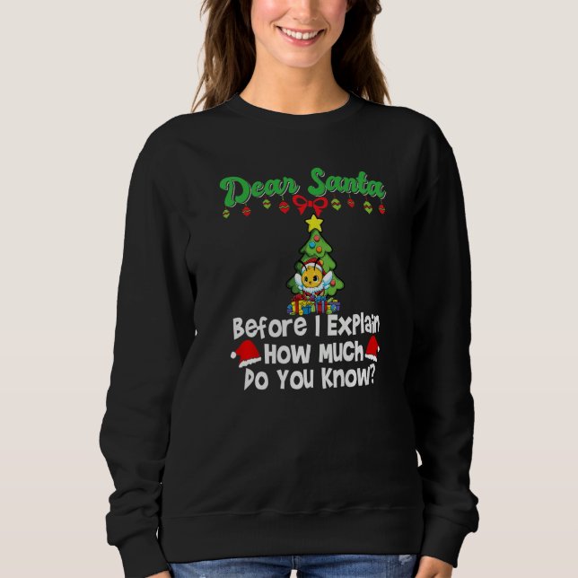 Dear Santa Before I Explain How Much Do You Know P T Shirt (Framsida)