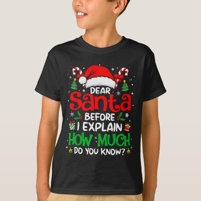 Dear Santa I Can Explain Funny Christmas Men Women T Shirt (Framsida)