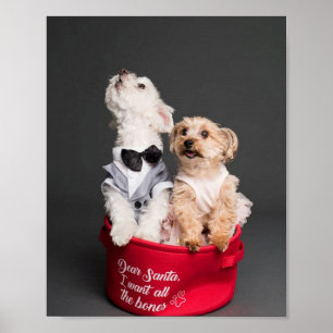 DEAR SANTA, JAG VILL HA ALLA BONER POSTER