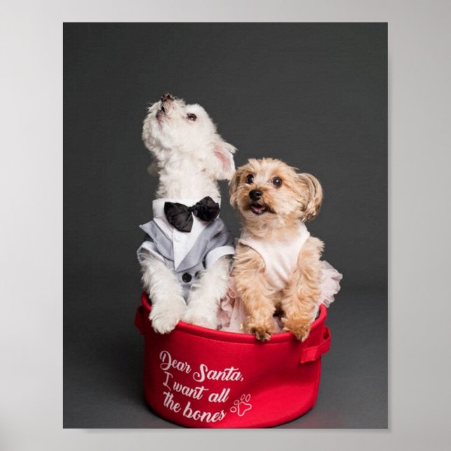 DEAR SANTA, JAG VILL HA ALLA BONER POSTER (Framsidan)