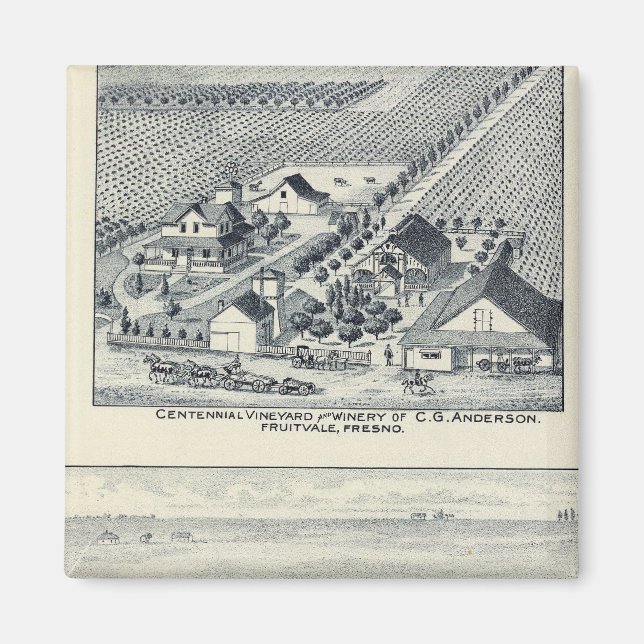 Deardorff och Centennial Vineyards, Kalifornien Magnet (Framsidan)