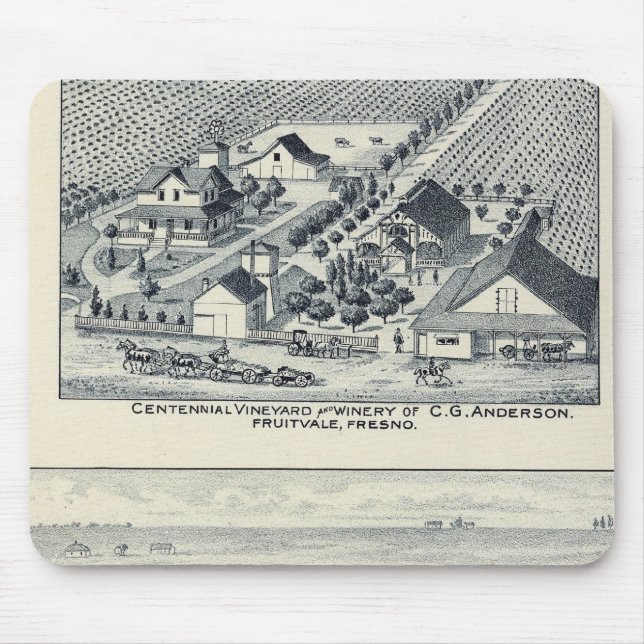 Deardorff och Centennial Vineyards, Kalifornien Musmatta (Framsidan)