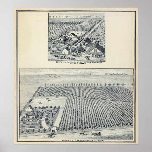 Deardorff och Centennial Vineyards, Kalifornien Poster (Framsidan)