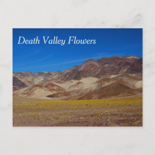 Death Valley Blommor Postkort Vykort
