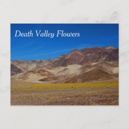 Death Valley Blommor Postkort Vykort