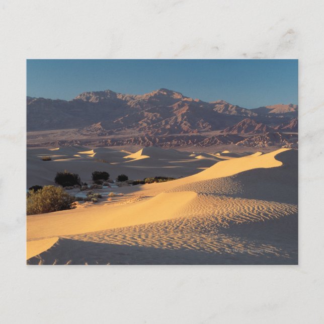 Death Valley National Monument, Kalifornien Vykort (Framsida)