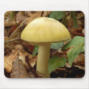 Deathcap Mushroom Musmatta