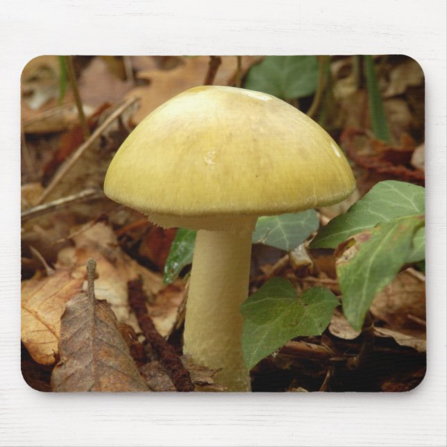 Deathcap Mushroom Musmatta (Framsidan)