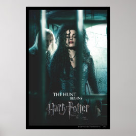 Deaths - Bellatrix & Lucius Poster