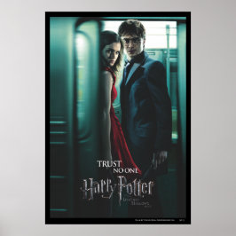 Deaths - Harry och Hermione Poster