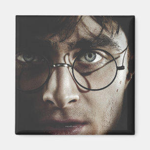 Deaths - Harry Potter Magnet