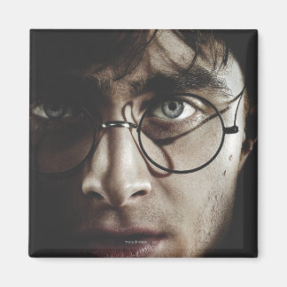 Deaths - Harry Potter Magnet