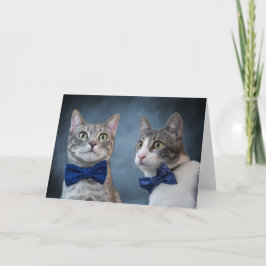Debonair Cats in Bowties Meddelande
