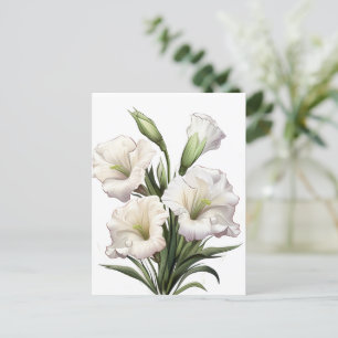 DEBORAH STEWART MISSIONS-WHITLY LILY VYKORT
