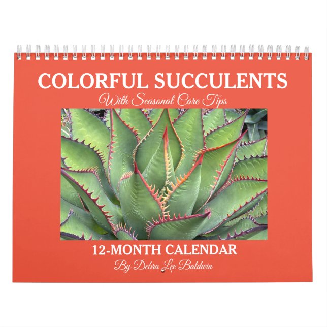 Debra Lee Baldwin Calendar Kalender (Omslag)