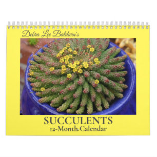 Debra Lee Baldwins Succulents-2 12 månader Kalender