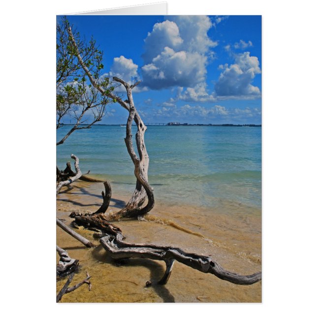 Debris to Blind Pass Hälsningskort (Framsidan)