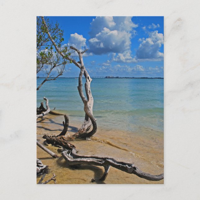 Debris to Blind Pass Vykort (Framsida)