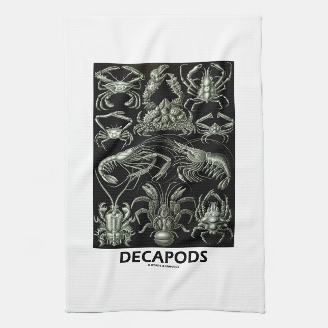 Decapods Ernest Haeckel Artforms av naturen Kökshandduk (Vertikal)