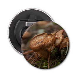 Décapsuleur aimanté, photo de champignons flasköppnare