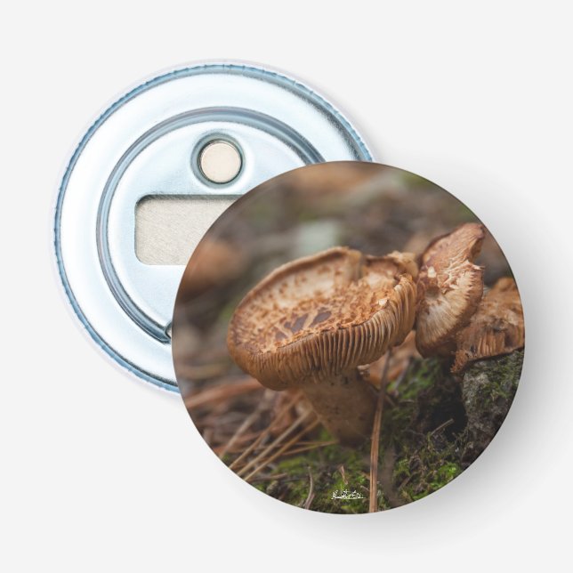 Décapsuleur aimanté, photo de champignons flasköppnare (Framsidan)