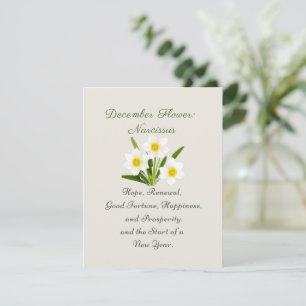 December Birth Month Flower Narcissus Elegant