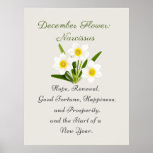 December Birth Month Flower Narcissus Elegant