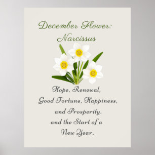 December Birth Month Flower Narcissus Elegant Poster