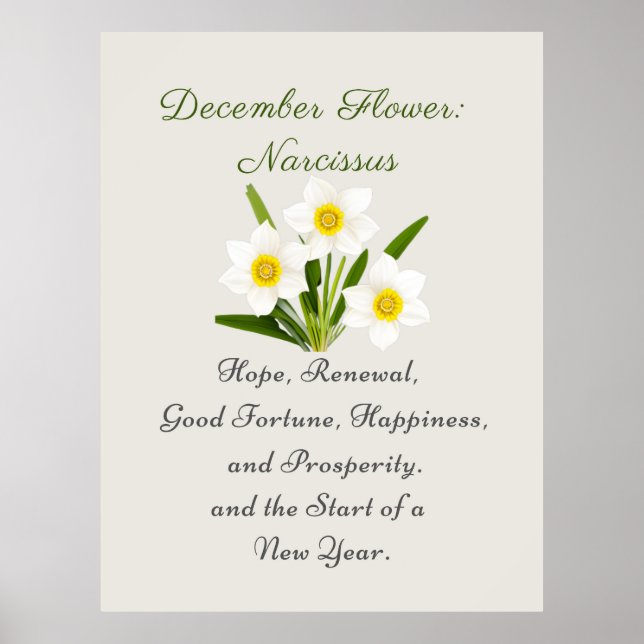 December Birth Month Flower Narcissus Elegant Poster (Framsidan)