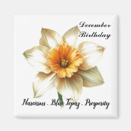 December Birthstone Flower Symbols and Meaning Magnet