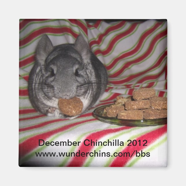 December chinchilla 2012 magnet (Framsidan)