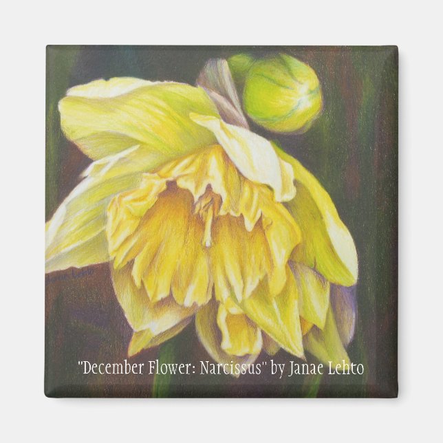 "December Flower: Narcissus" av Janae Lehto Magnet (Framsidan)