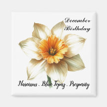 December Födelsedagsblomma Symboler och Betydelse