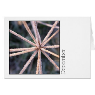 December Hälsningskort