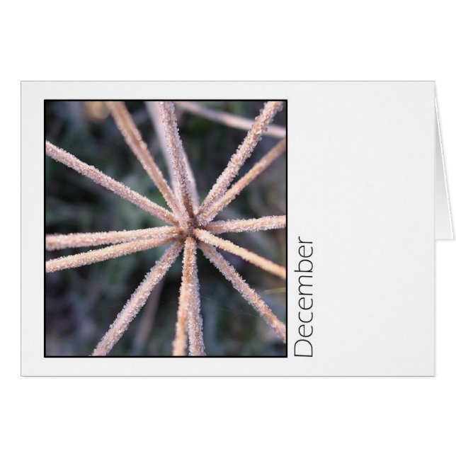 December Hälsningskort (Framsidan Horizontal)