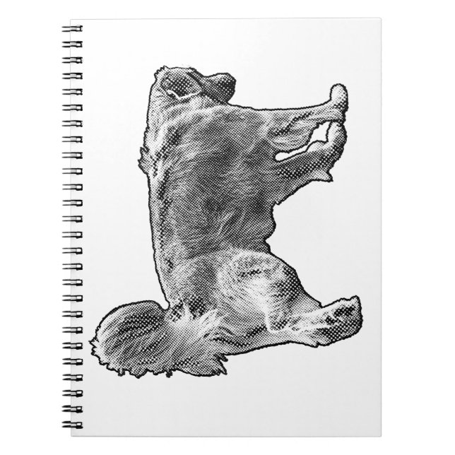 December Lists Golden Anteckningsbok (Framsidan)