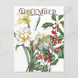 December Month Flowers Narcissus Holly Finare Vykort