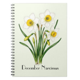December Narcissus Blommor Anteckningsbok