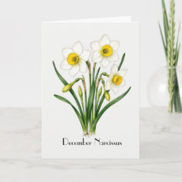 December Narcissus Blommor Hälsning Kort