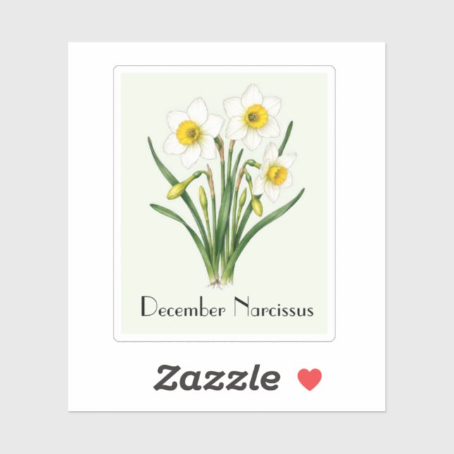 December Narcissus Blomstermärke Klistermärken (Ark)
