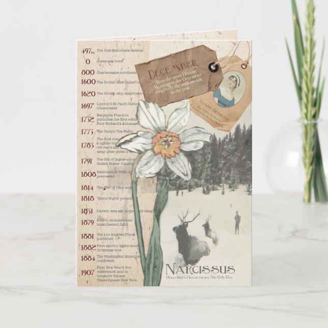 December Narcissus födelsedagskort Kort (Framsida)