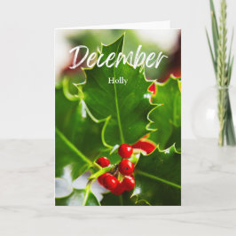 December Red Holly Birth Month Flower Birthday Kort
