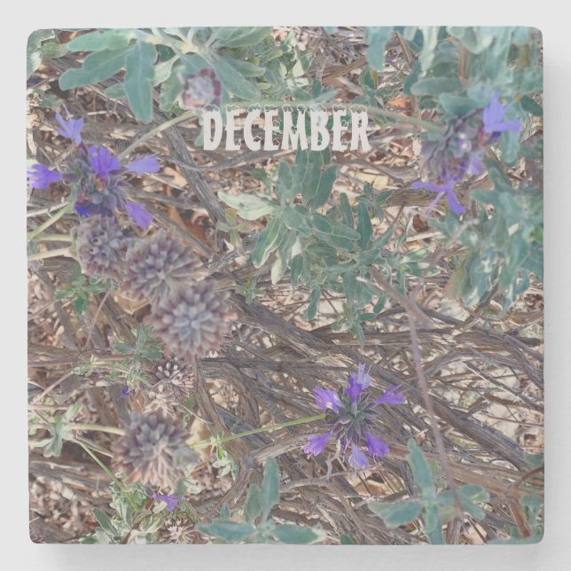 DECEMBER STENUNDERLÄGG (Framsidan)