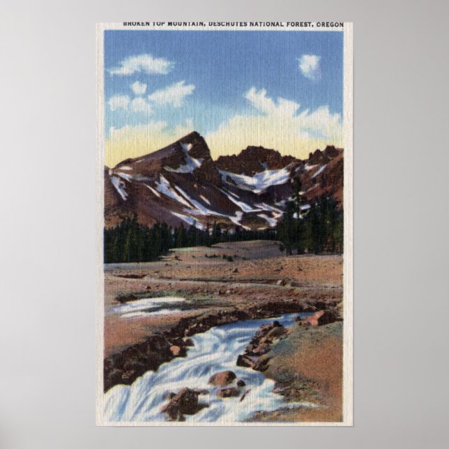 Dechutes National Forest, ELLER Poster (Framsidan)