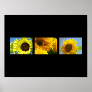 Deco konsttryck Botanisk Blommig Solrosor gul Poster