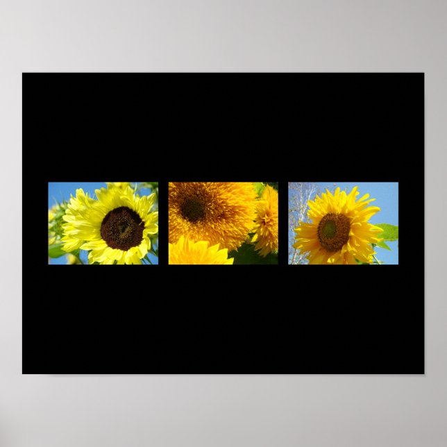 Deco konsttryck Botanisk Blommig Solrosor gul Poster (Framsidan)